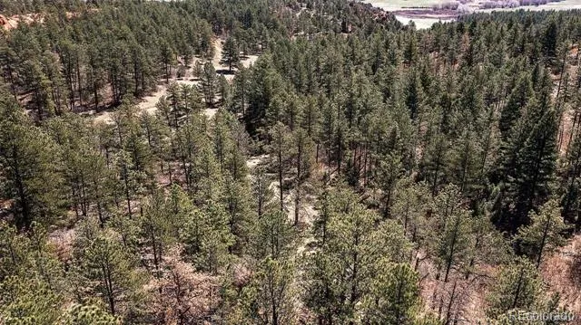8173 Bannock Drive Larkspur, CO 80118