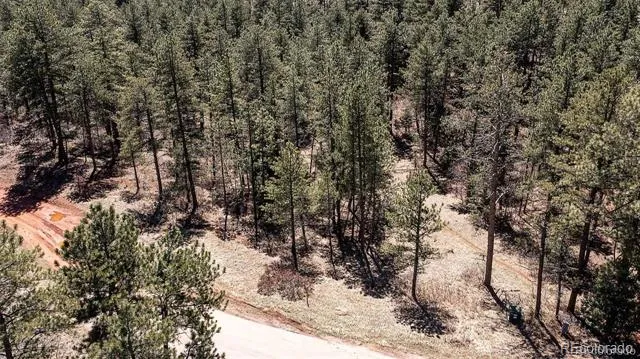 8173 Bannock Drive Larkspur, CO 80118