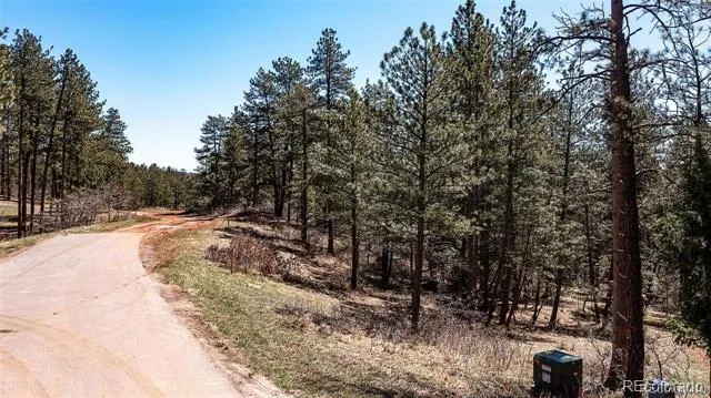 8173 Bannock Drive Larkspur, CO 80118