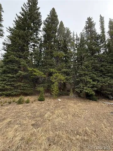 91 Lake Road Idaho Springs, CO 80452