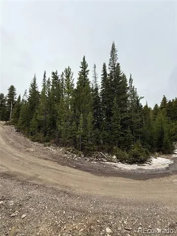 91 Lake Road Idaho Springs, CO 80452