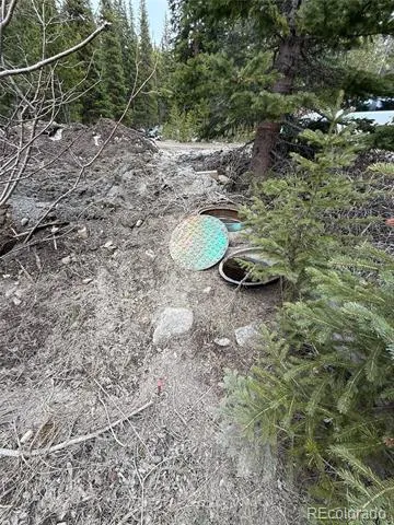 91 Lake Road Idaho Springs, CO 80452
