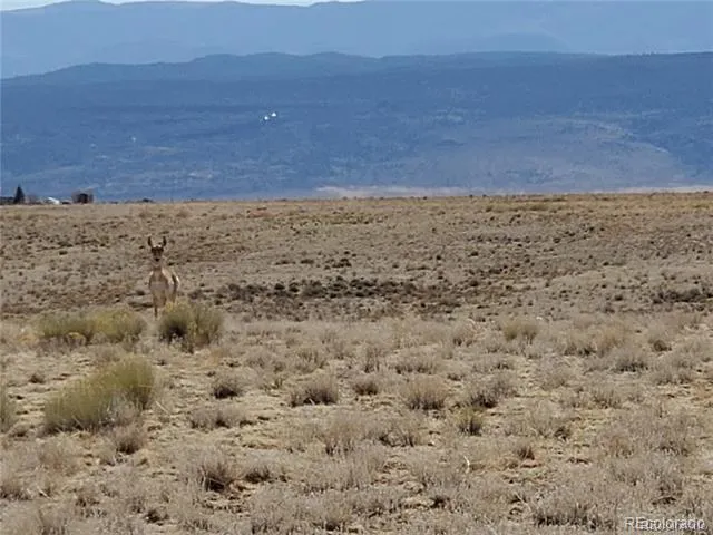 Lot 49 Vista Drive Mesita, CO 81152
