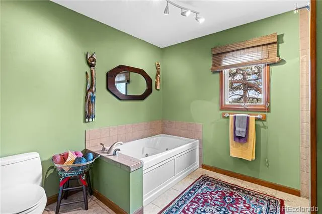1301 Pheasant Loop Westcliffe, CO 81252