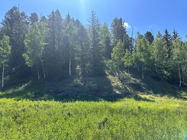 458 Arrowhead Road Florissant, CO 80816