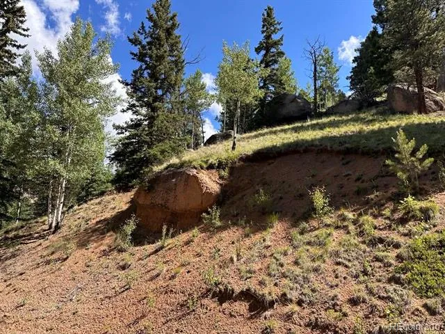 458 Arrowhead Road Florissant, CO 80816