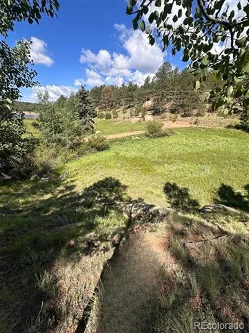 458 Arrowhead Road Florissant, CO 80816