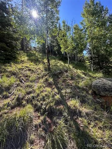 458 Arrowhead Road Florissant, CO 80816