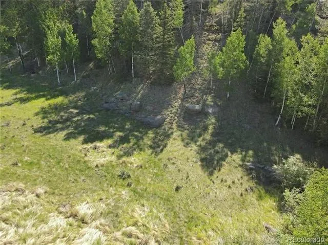 458 Arrowhead Road Florissant, CO 80816