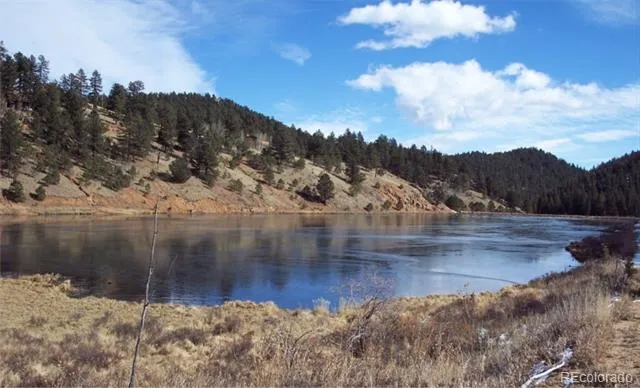 98 Wilkins Road Bailey, CO 80421