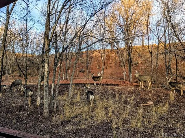 344 Plainview Place Manitou Springs, CO 80829