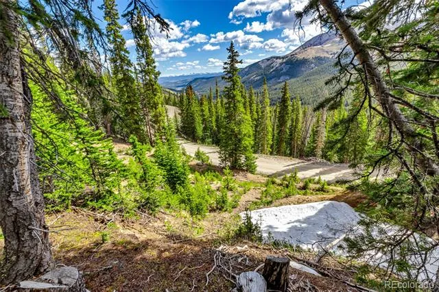 413 Carroll Lane Breckenridge, CO 80424