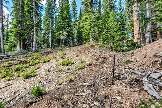 413 Carroll Lane Breckenridge, CO 80424