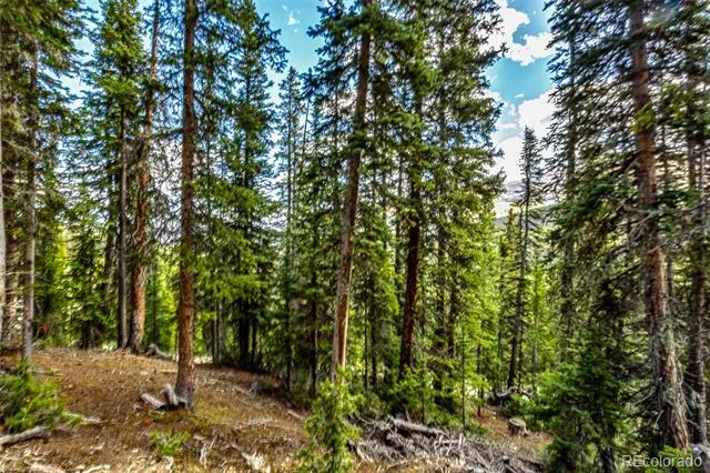 413 Carroll Lane Breckenridge, CO 80424