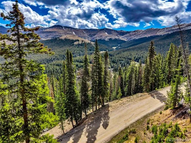 413 Carroll Lane Breckenridge, CO 80424