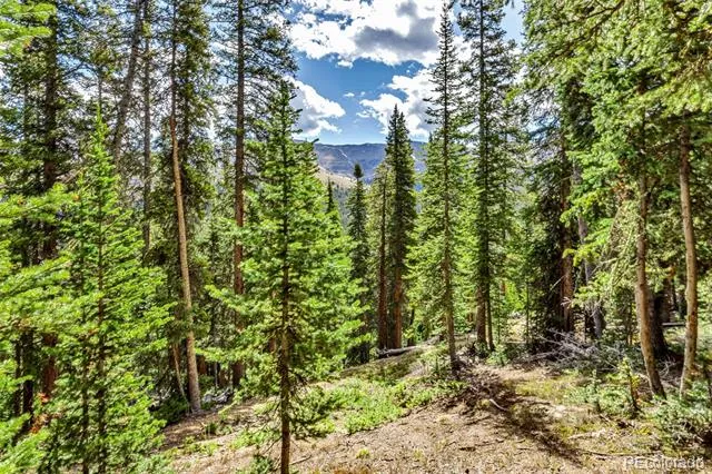 413 Carroll Lane Breckenridge, CO 80424