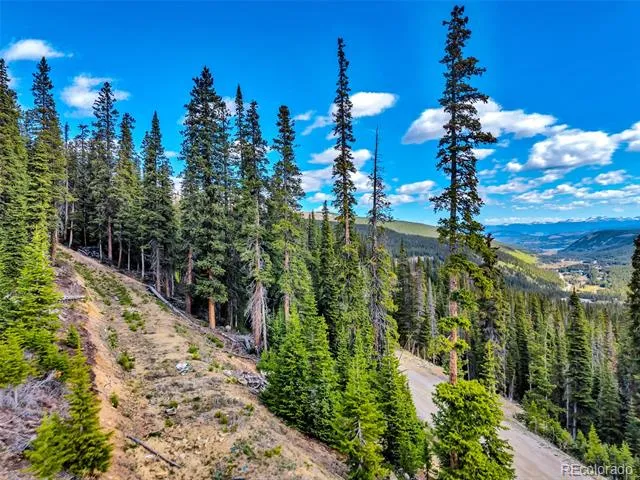 413 Carroll Lane Breckenridge, CO 80424