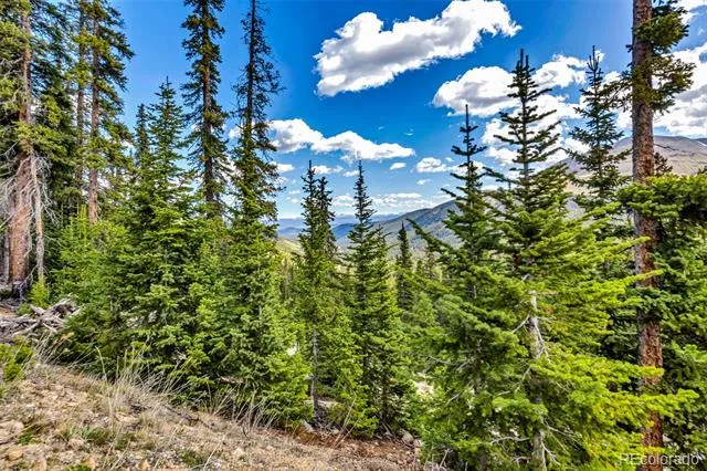 413 Carroll Lane Breckenridge, CO 80424