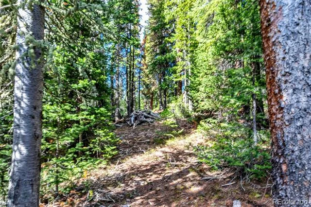413 Carroll Lane Breckenridge, CO 80424