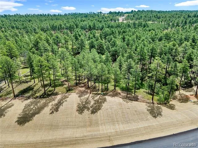 14531 Quartz Creek Drive Colorado Springs, CO 80908