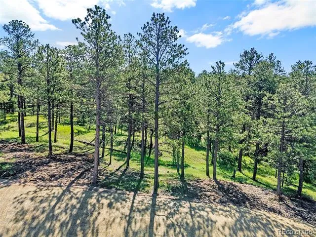 14531 Quartz Creek Drive Colorado Springs, CO 80908