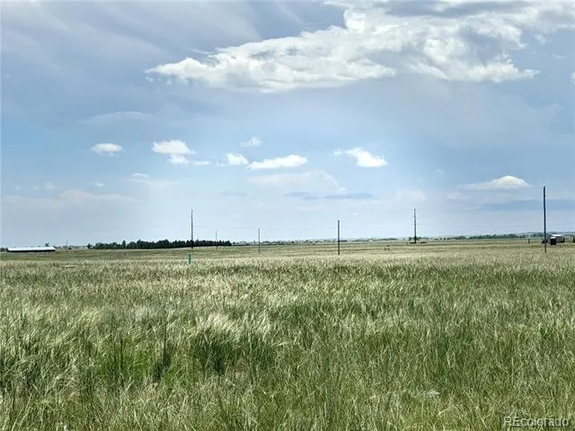 10985 E US Highway 24 Peyton, CO 80831