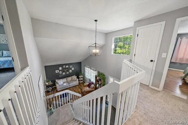 3700 Black Feather Trail Castle Rock, CO 80104