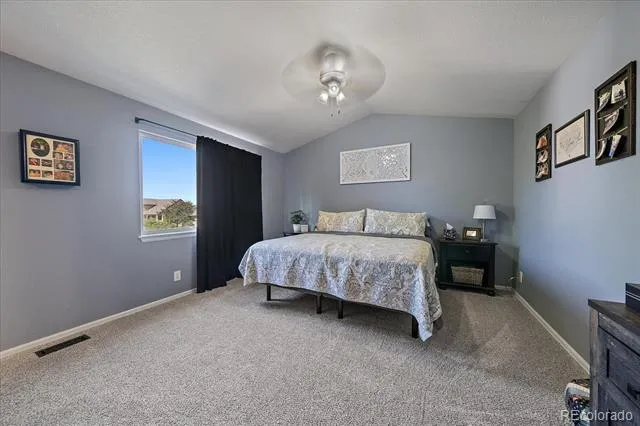 3700 Black Feather Trail Castle Rock, CO 80104