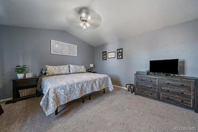 3700 Black Feather Trail Castle Rock, CO 80104