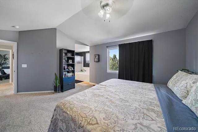 3700 Black Feather Trail Castle Rock, CO 80104