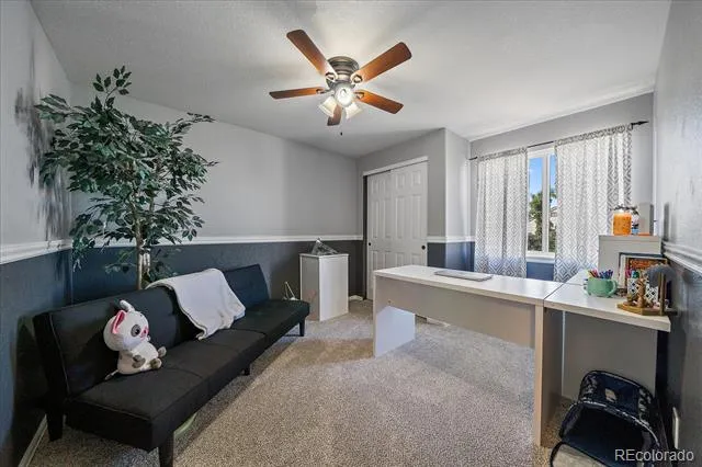 3700 Black Feather Trail Castle Rock, CO 80104