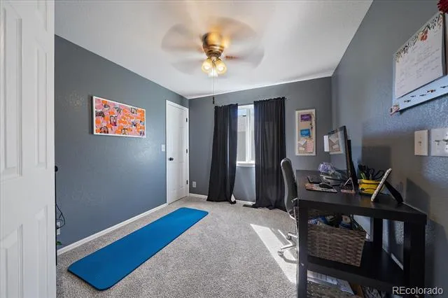 3700 Black Feather Trail Castle Rock, CO 80104