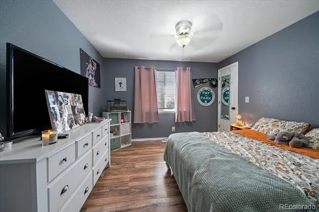 3700 Black Feather Trail Castle Rock, CO 80104