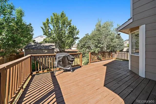 3700 Black Feather Trail Castle Rock, CO 80104