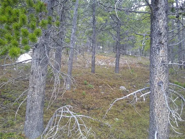 Lot 417 Glory Hole Road Idaho Springs, CO 80452