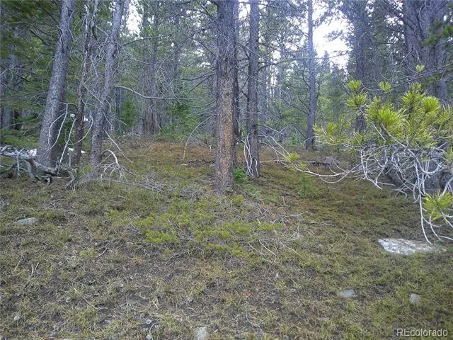 Lot 417 Glory Hole Road Idaho Springs, CO 80452