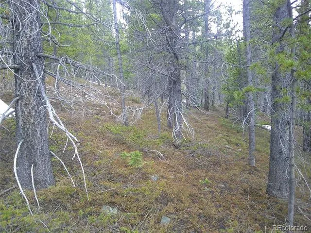 Lot 417 Glory Hole Road Idaho Springs, CO 80452