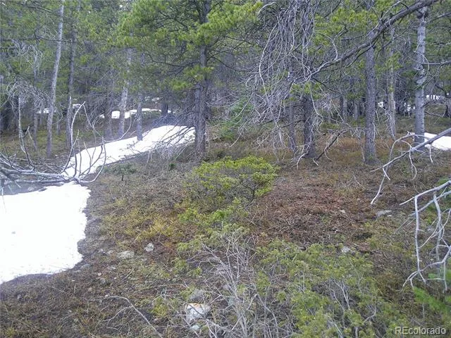 Lot 417 Glory Hole Road Idaho Springs, CO 80452