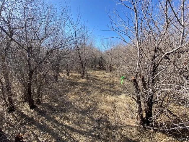 14 Ghost River Ranch Walsenburg, CO 80189