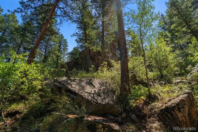 12954 Kuehster Road Littleton, CO 80127