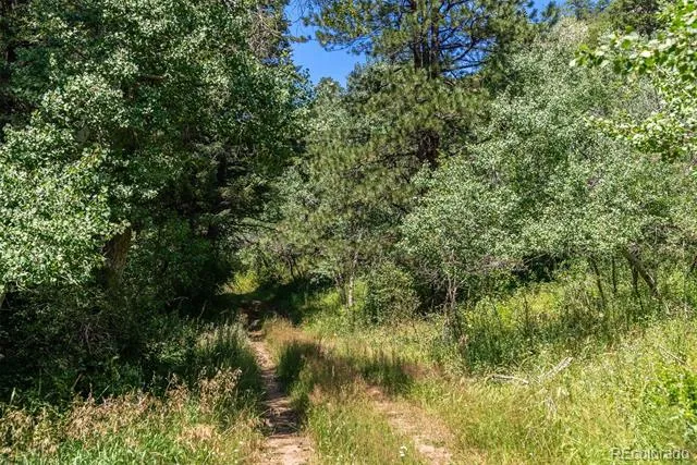 12954 Kuehster Road Littleton, CO 80127
