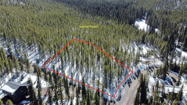 0118 CR 535 Breckenridge, CO 80424
