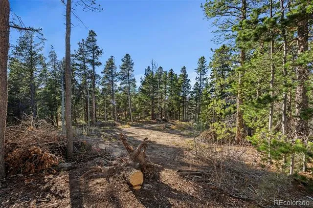 00 Severance Lodge Rd Black Hawk, CO 80422
