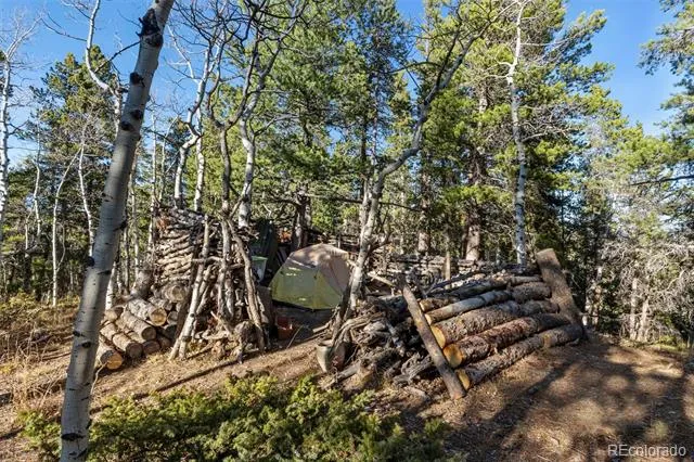 00 Severance Lodge Rd Black Hawk, CO 80422