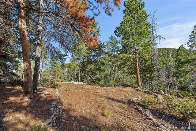 00 Severance Lodge Rd Black Hawk, CO 80422