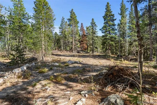 00 Severance Lodge Rd Black Hawk, CO 80422