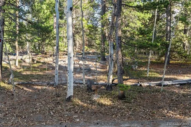 00 Severance Lodge Rd Black Hawk, CO 80422