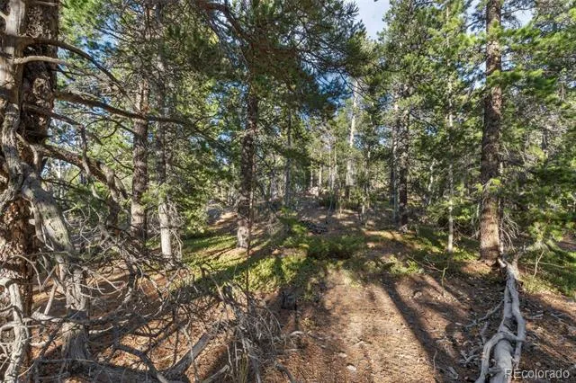 00 Severance Lodge Rd Black Hawk, CO 80422