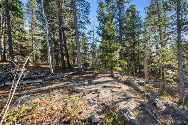 00 Severance Lodge Rd Black Hawk, CO 80422