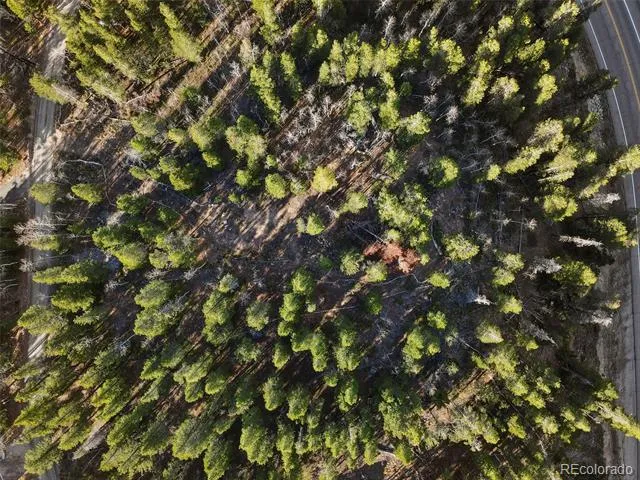 00 Severance Lodge Rd Black Hawk, CO 80422